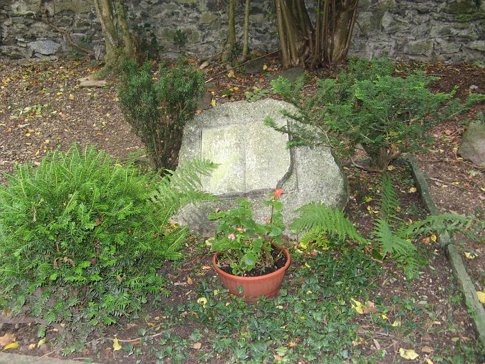 Bild 2008 014